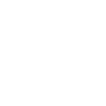 modelo vencedor